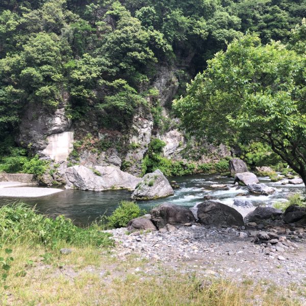 tokoy river tama river