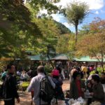 tokyo sake brewery tasting tour garden