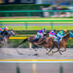 what to do in tokyo, try experience horse race
