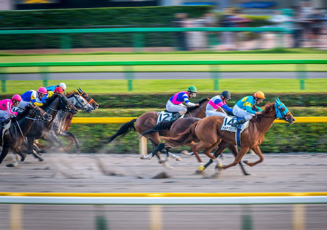 what to do in tokyo, try experience horse race