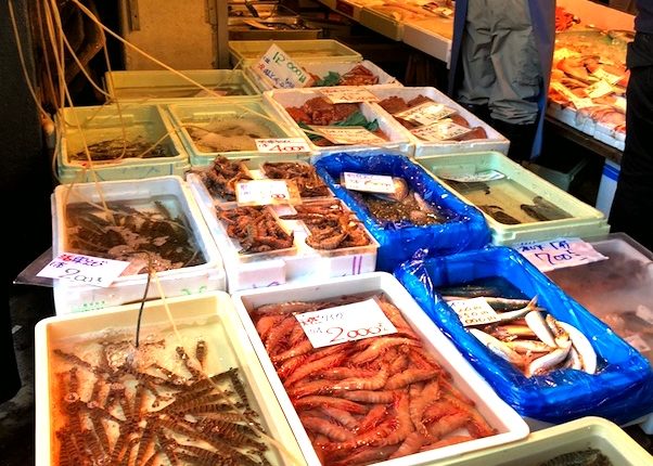 tsukiji-fish-market