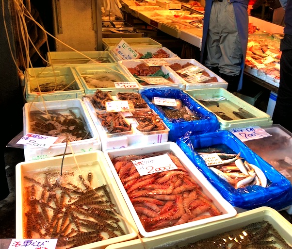 tsukiji-fish-market