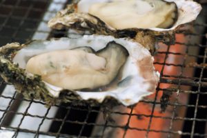 kaki oysters winter japan food